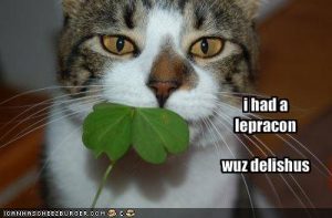 funny-pictures-your-cat-ate-a-leprechaun11